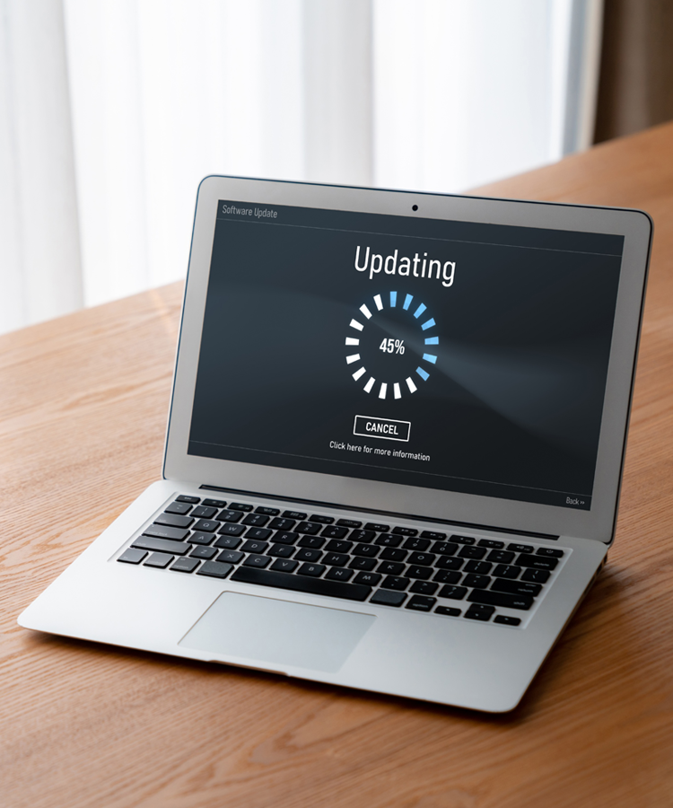 TMCS Software Updation Services